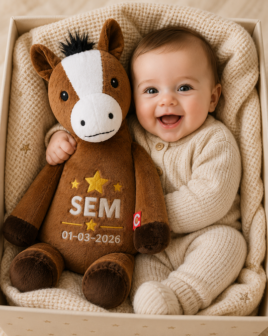 Paard Knuffel met Naam